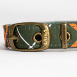 Laika dog collar - green-red