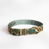 Laika dog collar - green-red